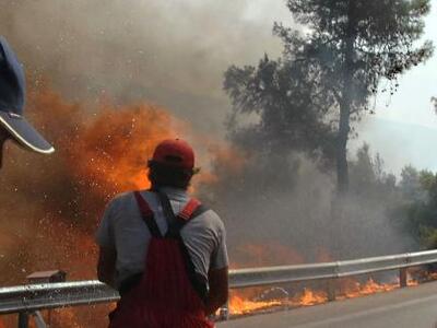 Σε ύφεση η φωτιά στην Πύλο - Ξεκίνησε απ...