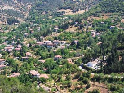 Ο Σύλλογος Σοποτινών κόβει την Πρωτοχρον...