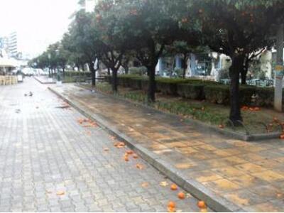 Πάτρα: Κλείνει ο ιστορικός καφενές &quot...