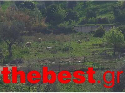 Μη σας ξεγελάει η εικόνα, στην Πάτρα βρισκόμαστε