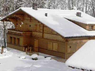 Ποιοι διάσημοι βγάζουν στο σφυρί τα σαλέ τους