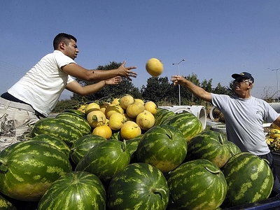 Βόμβες Σιγαλού από την Πάτρα για τις αγρ...
