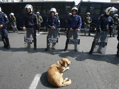 Ο σκύλος που δεν έχει αφήσει διαδήλωση γ...