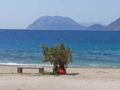 Πάτρα: Πήρε ο αέρας τους κάδους στην παρ...