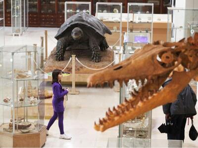 Λειτούργησε το μουσείο Παλαιοντολογίας κ...