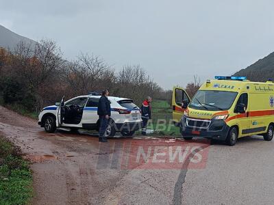 Πριόλιθος: Ι.Χ. ξέφυγε της πορείας του κ...