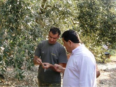 Καταστροφές από χαλαζόπτωση στο Δήμο Μεσολογγίου 