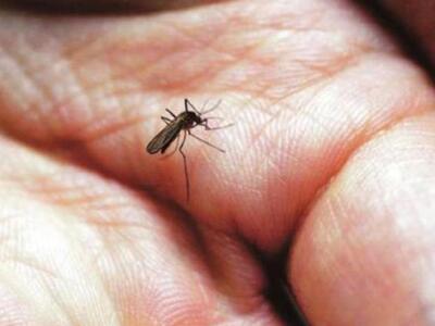 Δυτική Ελλάδα: Αυξημένου κινδύνου για τη...