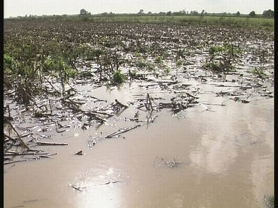 Τεράστιες ζημιές για τους αγρότες της Δυ...