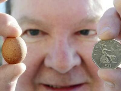 Το μικρότερο αβγό στον κόσμο