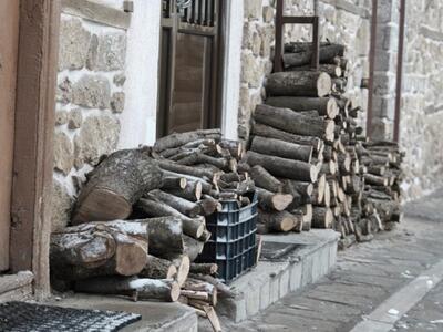 Άργος: Λαθρουλοτόμοι κόβουν ελιές για καυσόξυλα