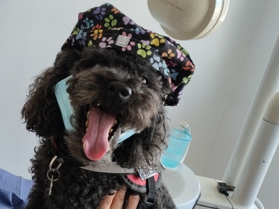 Από τον δρόμο, βοηθός σε οδοντιατρείο – ...