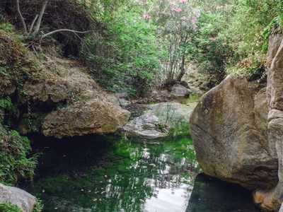 Τροιζήνα: Σκοτώθηκε αγόρι που καταπλακώθ...