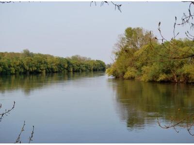 Πύθιο: Πάνω από το όριο συναγερμού η στά...