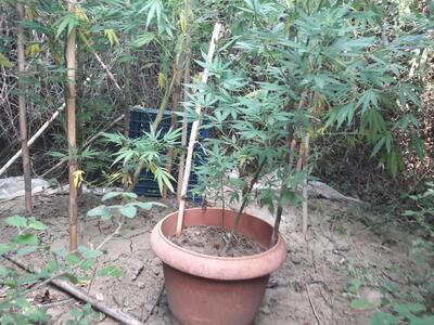 Ηλεία: "Φούντα" στη Μυρσίνη - ...