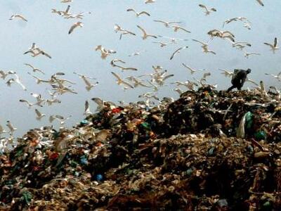 Εκδήλωση για την Γεωργία στην Άνω Ζήρια