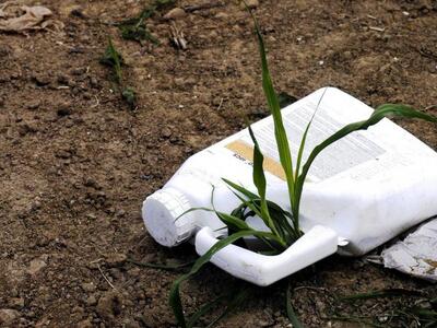 Αγρίνιο: Η μερίδα για την ορθολογική χρή...