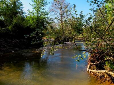 Πανέμορφες φωτογραφίες από τον ανοιξιάτι...