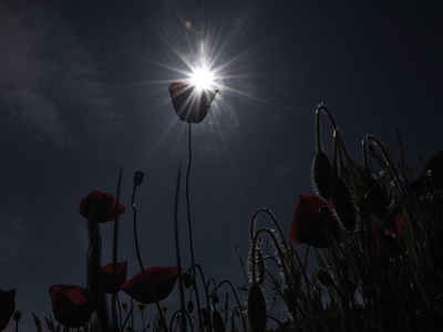 Όταν το σκοτάδι αγκαλιάζει την άνοιξη...