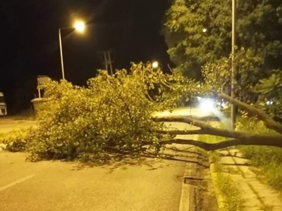 ΦΩΤΟ ΑΡΧΕΙΟΥ