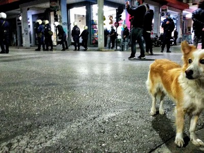 Μετακίνηση Β6: Τριγύρω ..πανικός και στη...