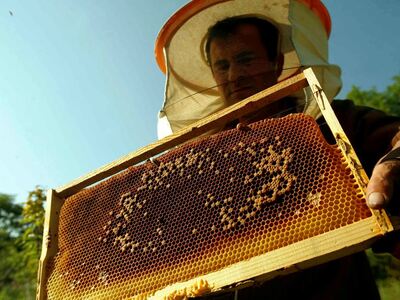 Οι μελισσοκόμοι όλης της Ελλάδας δίνουν ...