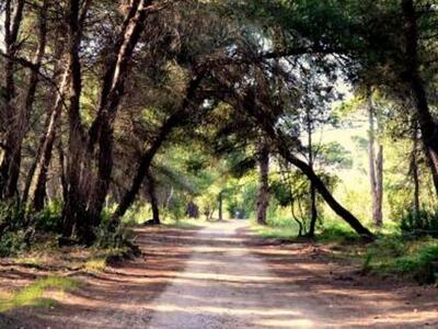 Ημερίδα για τον τουρισμό διοργανώνει ο Δ...