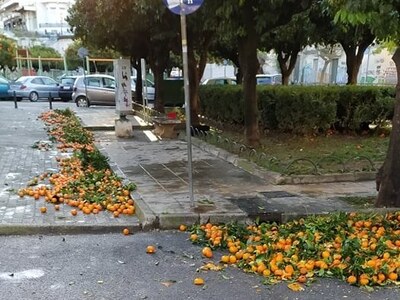 Τριών Ναυάρχων: Γέμισε ο πεζόδρομος νεράντζια!