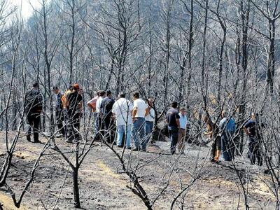 Ηλεία: Τον προσεχή Μάρτιο η δίκη για τις...