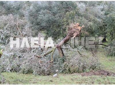 Ηλεία: Οι ζημιές από την κακοκαιρία στο ...
