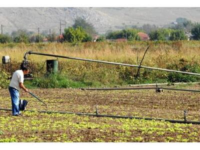 Ηλεία: Με άδειους λογαριασμούς το 80% τω...