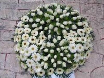 Πάτρα: Ψήφισμα του Δημοτικού Συμβουλίου ...