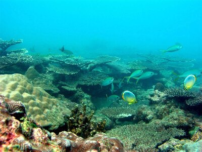 Αύξηση της θερμοκρασίας στα βάθη των ωκεανών