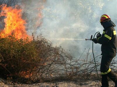 Ρέθυμνο: Φωτιά σε δασική έκταση στους Αρμένους