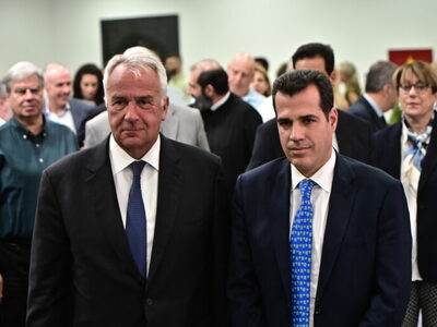 Θ. Πλεύρης: Όποιος έρχεται παράνομα στην...