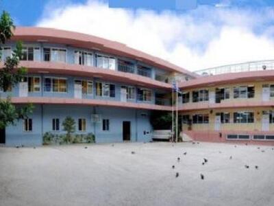 Πάτρα: Ποντίκια στις τουαλέτες Δημοτικού...