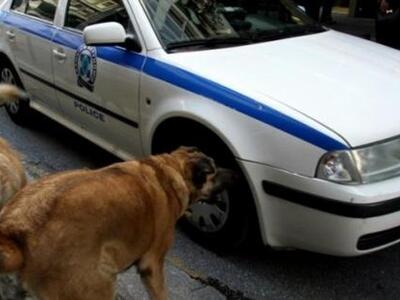 Απίστευτο! Σκύλος έστειλε στο νοσοκομείο...