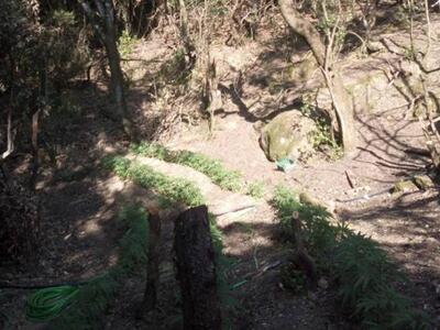 Στη φυλακή Ναυπλίου ο 41χρονος που έριχν...