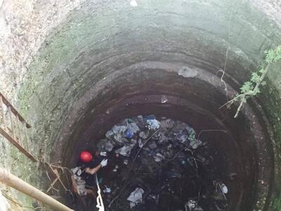 Πάτρα: H 6η Ε.Μ.Α.Κ. Πατρών διέσωσε γατά...