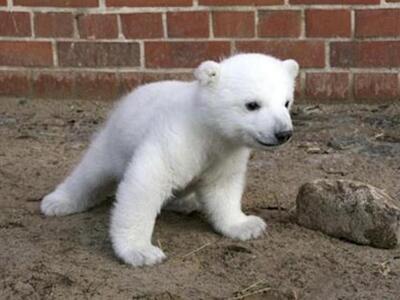 Τέσσερα χρόνια μετά –Η νόσος που σκότωσε...
