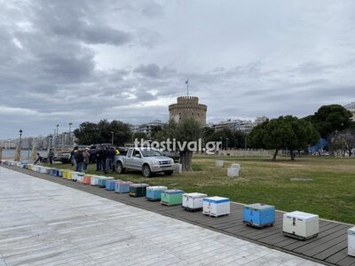 Θεσσαλονίκη: Μελισσοκόμοι έστησαν άδειες...