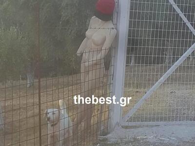 Το sexy "σκιάχτρο" που βρήκαν ...