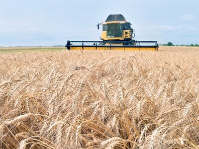 Ουκρανία: Από αυτή την εβδομάδα η επανεκ...
