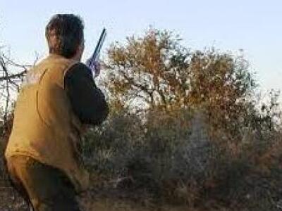 Αιωτολοκαρνανία: Έλεγχοι για παράνομη θή...