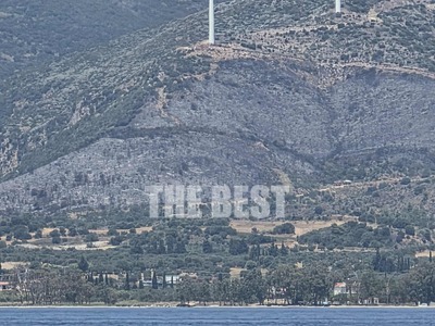 Πάτρα: Η καμένη γη της Μακύνειας «ζωγραφ...