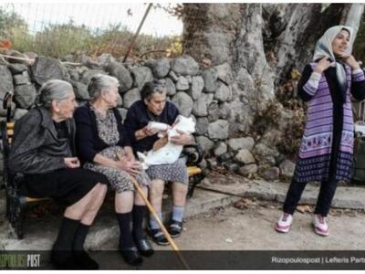 Μυτιλήνη: Έπεσε ο πλάτανος των γιαγιάδων...