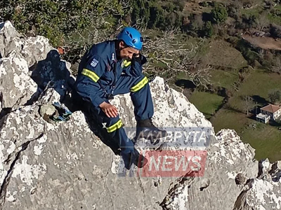 Καλάβρυτα: 14 κατσίκια περίμεναν 4 μέρες...