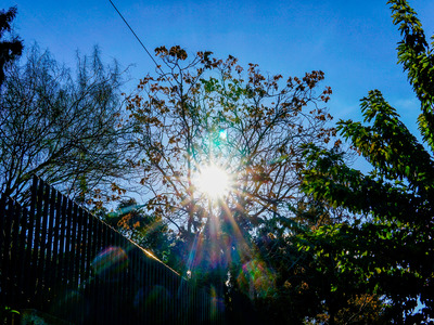 Καιρός σήμερα: Ζέστη με ομίχλες και τοπι...