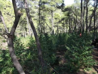 Με ελικόπτερα, σκύλους και ΕΚΑΜ η εξάρθρ...