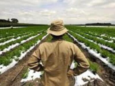 Αίγιο: Γίνε έξυπνος αγρότης - Ενημερωτική ημερίδα 